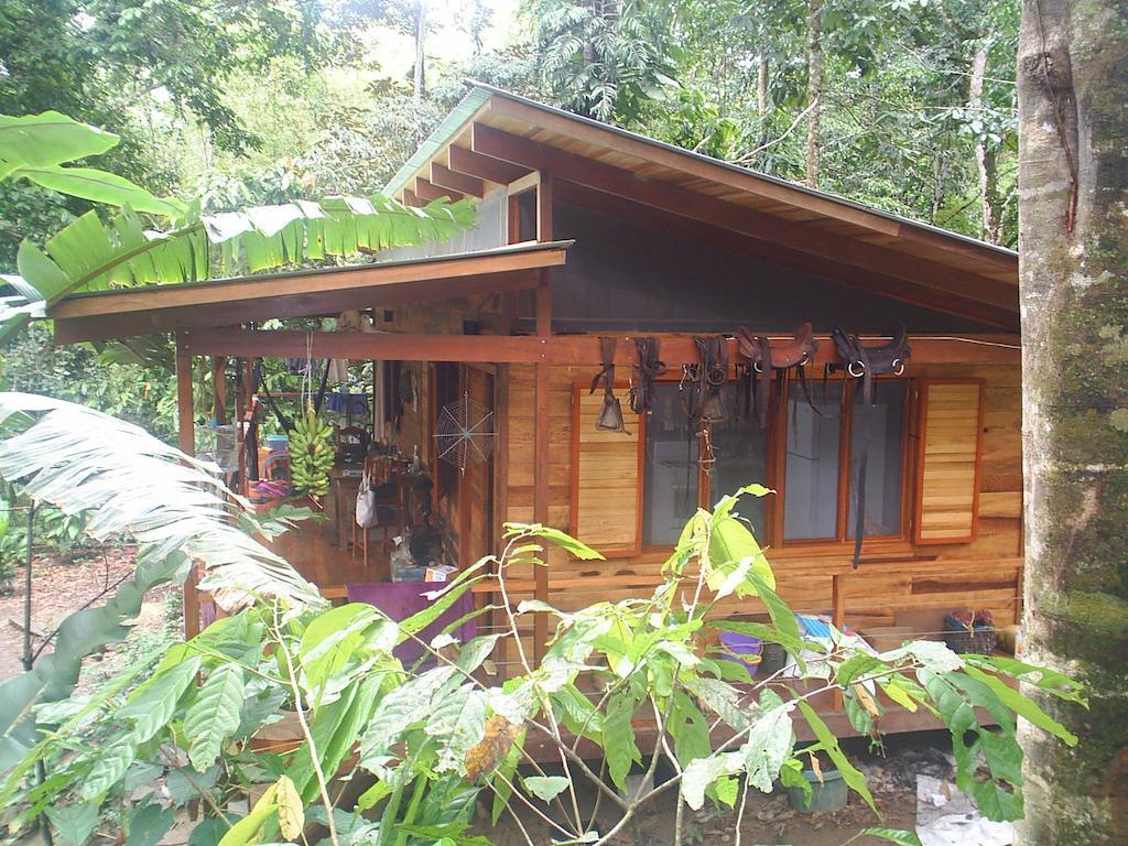 El Tucan Jungle Lodge Puerto Viejo de Talamanca Quarto foto