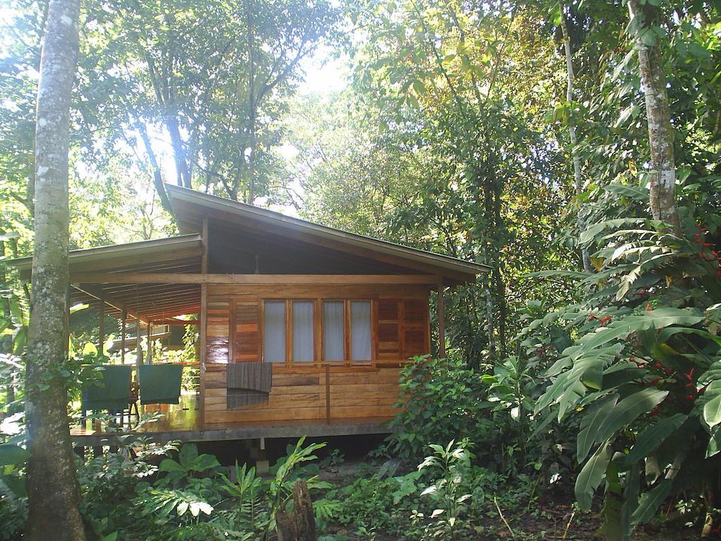El Tucan Jungle Lodge Puerto Viejo de Talamanca Quarto foto